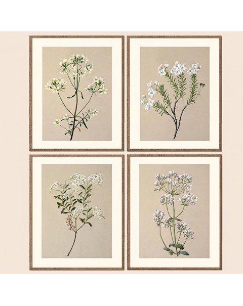 Framed Set of 4 Boho Wall Decor Botanical Wall Art Prints Rustic Vintage Flower