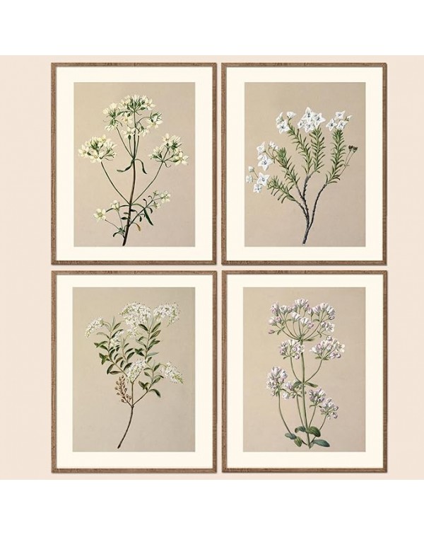 Conjunto enmarcado de 4 impresiones de arte botán...