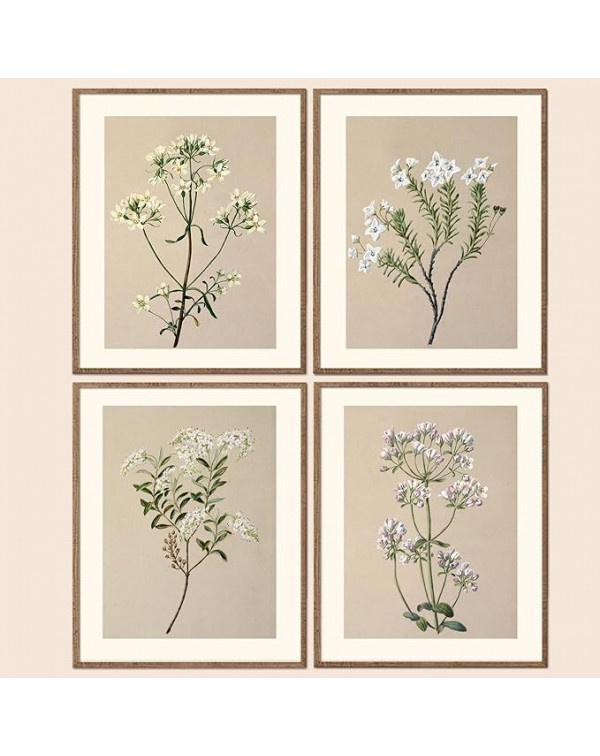 Framed Set of 4 Boho Wall Decor Botanical Wall Art...