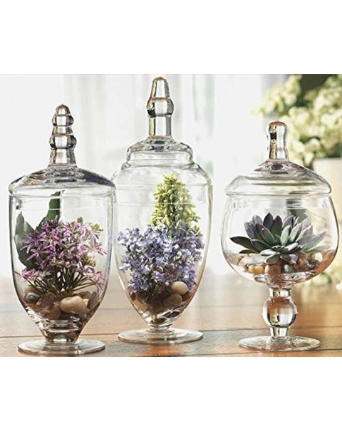 Juego de 3 tarros de boticario con tapas, tarros de caramelos Home Essentials & Beyond para bufé de dulces, decoración de vidrio, lavandería, popurrí y baño