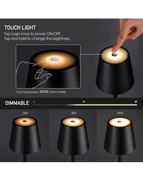 Lámpara de pie LED inalámbrica para exteriores
