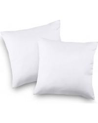 Bed and Couch Pillows - Indoor Decorative Pillows