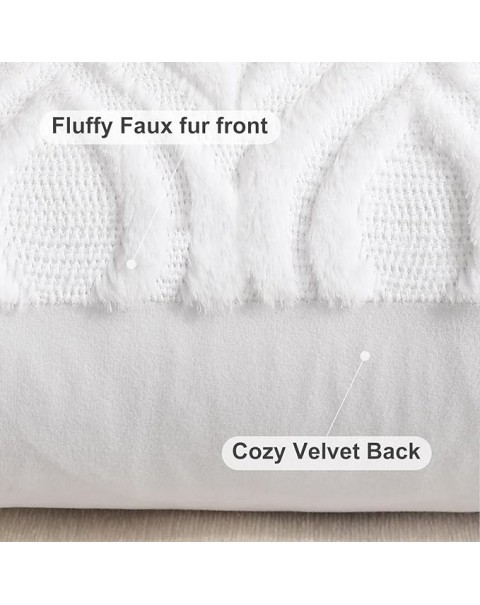 Fundas de almohada decorativas.